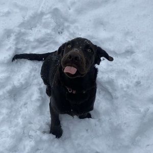 Meet your Posher, Kelly